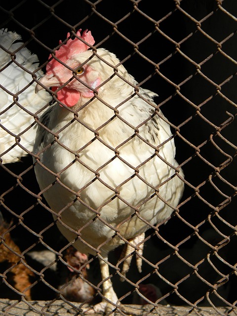 定跳投往往 定跳投往往